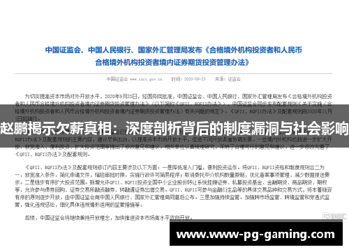 赵鹏揭示欠薪真相：深度剖析背后的制度漏洞与社会影响