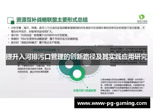 提升入河排污口管理的创新路径及其实践应用研究