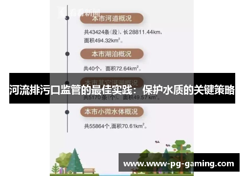 河流排污口监管的最佳实践：保护水质的关键策略