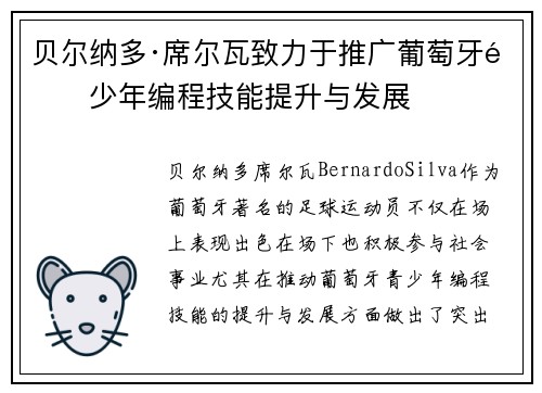 贝尔纳多·席尔瓦致力于推广葡萄牙青少年编程技能提升与发展