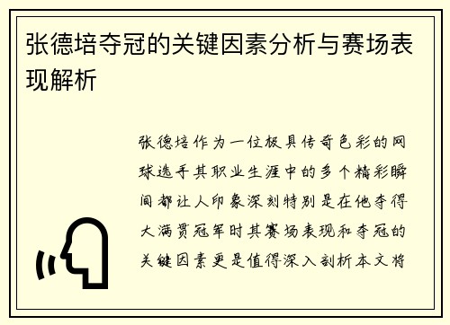 张德培夺冠的关键因素分析与赛场表现解析